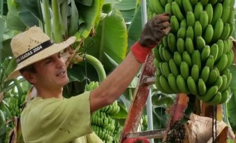 Banana Experience - Finca Las Margarita