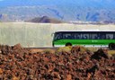 guided visit at Finca Las Margaritas