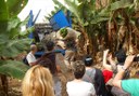 visit banana plantation at Finca Las Margaritas