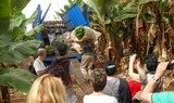 visit banana plantation at Finca Las Margaritas
