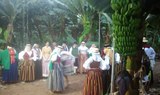 visit Finca Las Margaritas in Tenerife