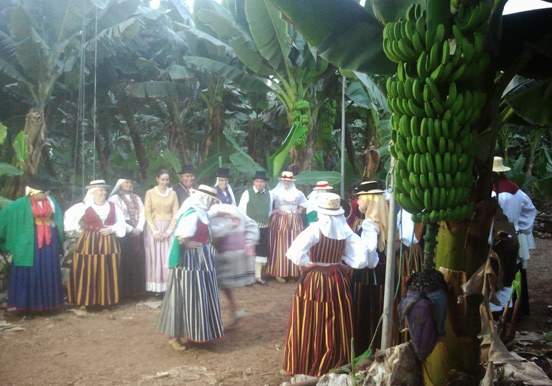 visit Finca Las Margaritas in Tenerife