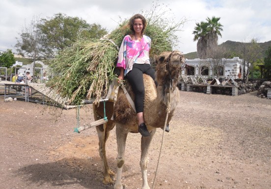 camel ride in Tenerife's Camel Park