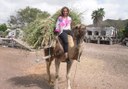 camel ride in Tenerife's Camel Park