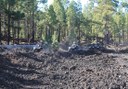 discover Teide forest thru quad adventure