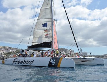 3 hours Costa Adeje Whale Watching
