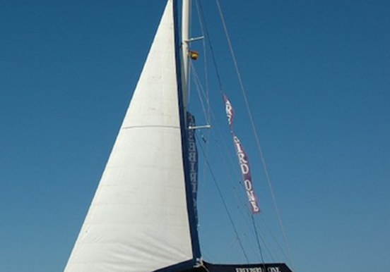 Freebird one catamaran sail