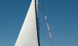Freebird one catamaran sail