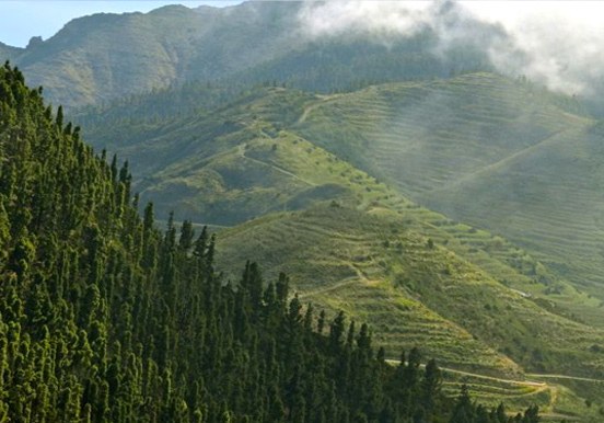 helicopter tour over Tenerife lush and landscapes
