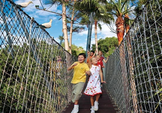 hanging bridge in Katandra Treetops at Loro Park