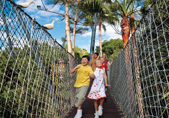 hanging bridge in Katandra Treetops at Loro Park
