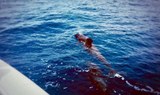 Spot whale while on boat trips.jpg