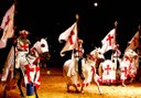 Medieval show horses