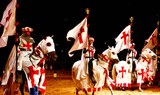 Medieval show horses