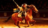 Medieval tournament at the San Miguel Castle in Tenerife