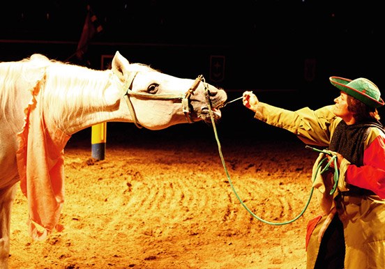 see medieval show in Tenerife