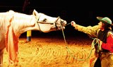 see medieval show in Tenerife