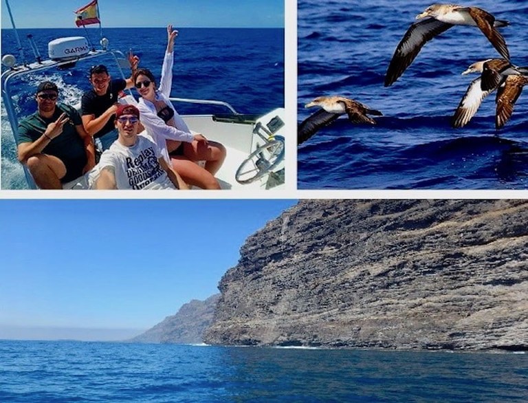 Tenerife boat excursion in small group.jpg