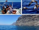 Tenerife boat excursion in small group.jpg