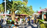 stroll around Puerto de la Cruz