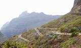 quad and buggy tour on zig zag roads.jpg