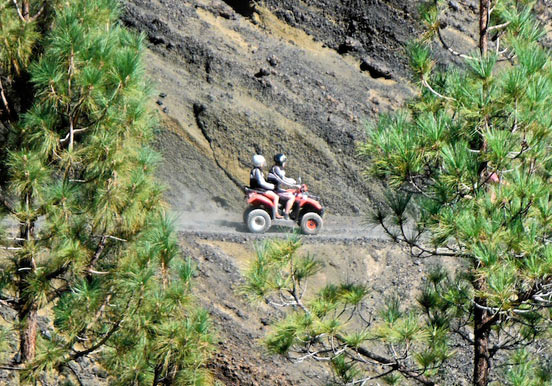 Tenerife quad safari through pine forest