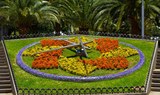 the flower clock in Parque Garcia Sanabria