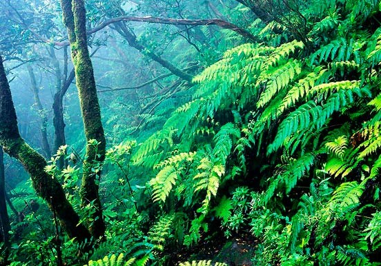 explore Anaga
