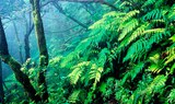 explore Anaga