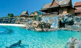 Sea Lion Island in Siam Park