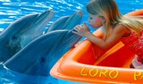 meet the dolphins in Loro Parque