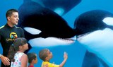 whales at Orca Ocean in Loro Parque