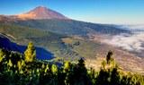 explore Teide in La Orotava