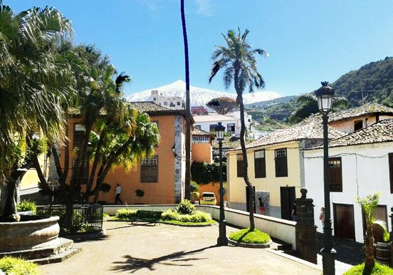 visit Icod de los Vinos in Tenerife