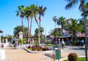 walk around Puerto de la Cruz