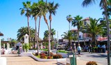 walk around Puerto de la Cruz