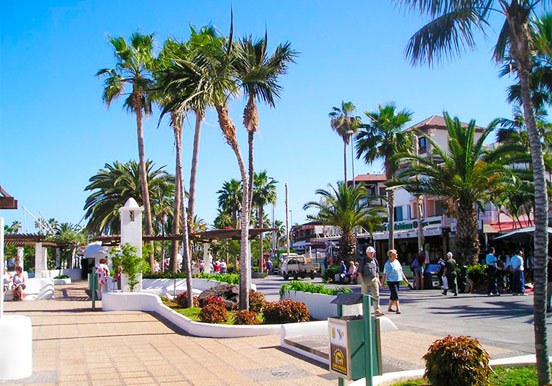 walk around Puerto de la Cruz