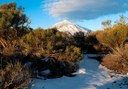 Mt Teide in Tenerife