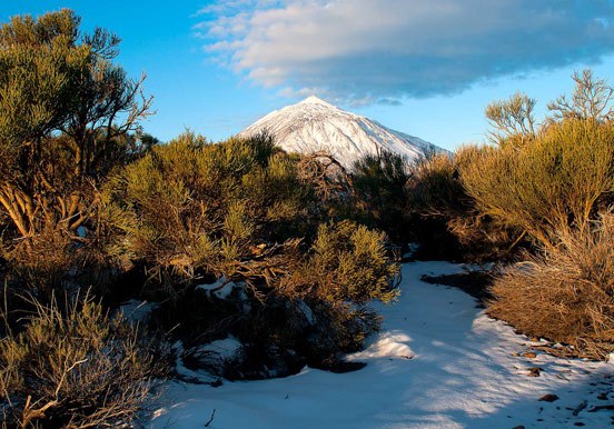 Mt Teide in Tenerife