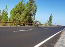 Teide guided bike tour west approach.jpg