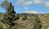 scenic view in Tenerife via bike tour