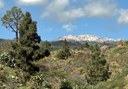 scenic view in Tenerife via bike tour
