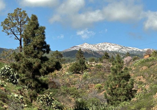scenic view in Tenerife via bike tour