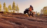 off road forest quad tour.jpg