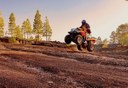 off road forest quad tour.jpg