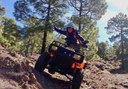 Tenerife pine forest quad tour.jpg