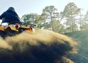 Tenerife quad tour forest route.jpg