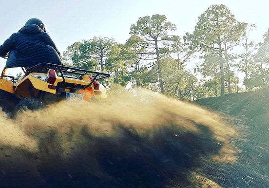 Tenerife quad tour forest route.jpg