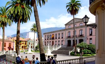 Tenerife Island Bus Tour (south pick-up)