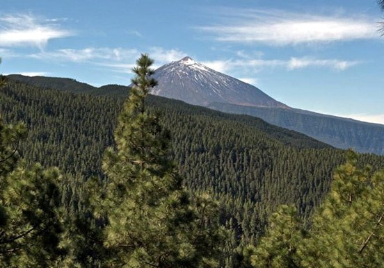 see Mount Teide via road bike cycling tour